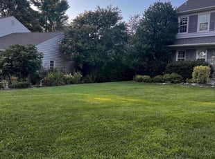 Tyeshia R.'s lawn maintenance service result