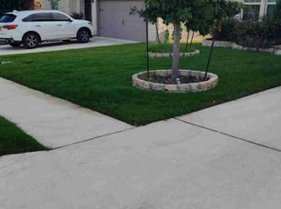 Bill R.'s grass cutting service result