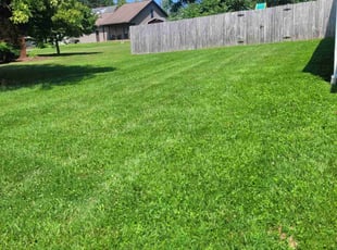 Jose B.'s lawn care service result