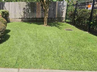 Steve C.'s lawn care services service result