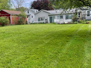 Maria D.'s lawn maintenance service result