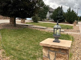 David S.'s turf maintenance service result