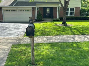 Arvin D.'s turf care service result
