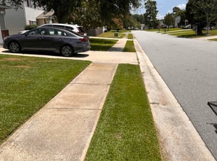Espanola H.'s grass maintenance service result