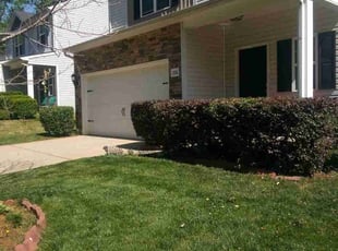 Austin C.'s Bush Trimming service result