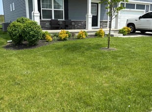 Rue C.'s grass cutting service result