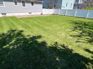 Susan G.'s turf care service result