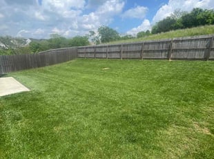 Melody J.'s turf care service result