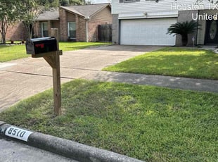 Misti E.'s lawn care service result