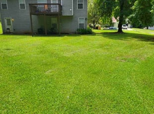 Camile C.'s lawn maintenance service result