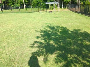 Gillean G.'s grass cutting service result
