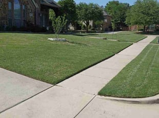 Jeremy R.'s lawn care service result