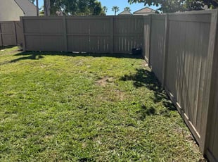 Sean C.'s grass maintenance service result