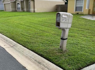 James H.'s lawn service service result
