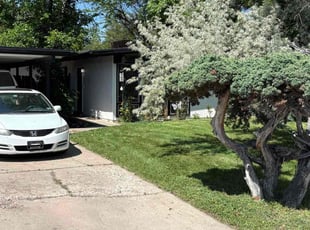 Owen M.'s grass cutting service result