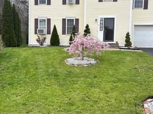 Tina G.'s lawn service service result