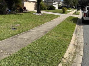 Seth E.'s grass maintenance service result