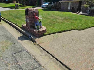 Christel S.'s lawn care service result