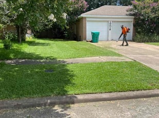 Jacky B.'s lawn care services service result