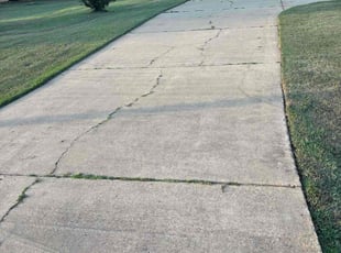 Joseph S.'s lawn service service result