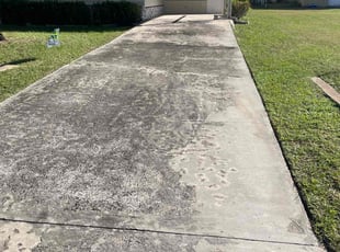 Silva A.'s grass maintenance service result