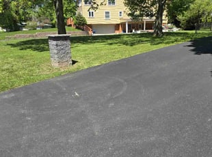 Kira G.'s Leaf Removal service result