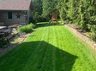 Robert L.'s lawn service service result