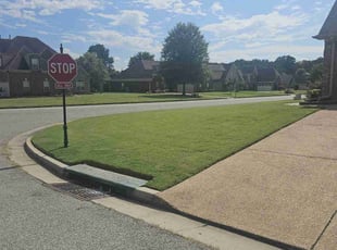 Michael P.'s turf care service result