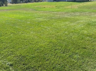 Keith a.'s lawn maintenance service result