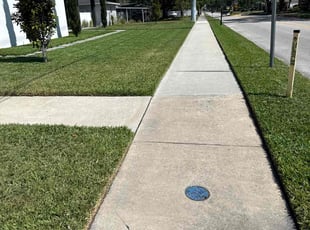 Alex B.'s lawn maintenance service result