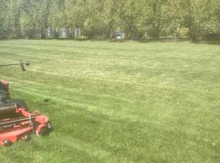 Jeannette S.'s grass maintenance service result