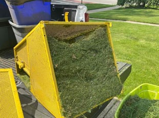 Agustin R.'s turf maintenance service result
