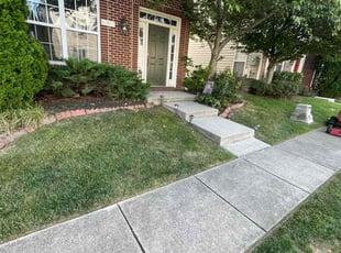 Wesley H.'s turf maintenance service result