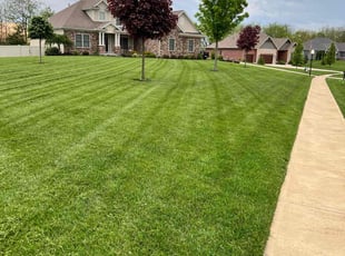 Karen N.'s lawn care service result