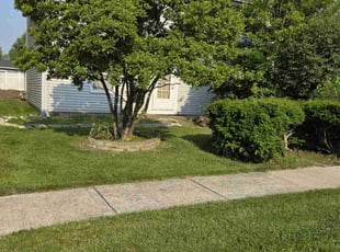Steve M.'s turf maintenance service result