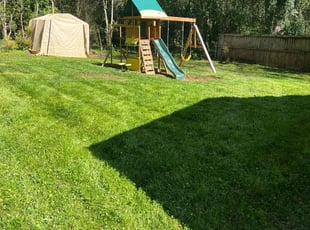 Scott D.'s Long Grass Cleanup service result
