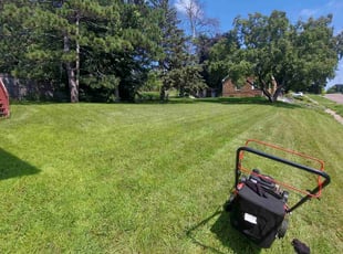 Roscoe U.'s lawn service service result