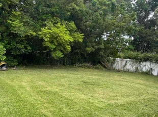 Randy S.'s lawn maintenance service result