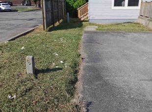 Brian C.'s turf care service result