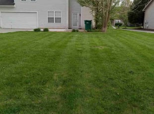 Kimberly H.'s grass maintenance service result