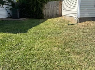 Mareka S.'s turf care service result