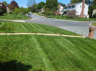 Rosalind V.'s yard service service result