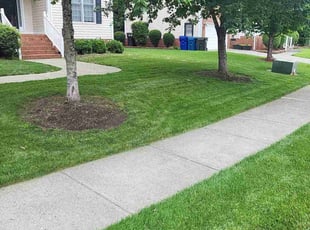 Angelo R.'s lawn care service result