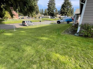 Amy S.'s lawn service service result