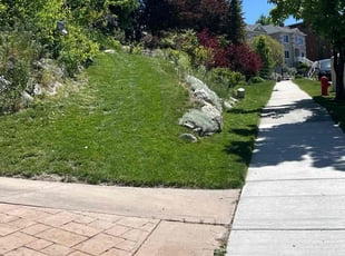 Valerie G.'s grass maintenance service result