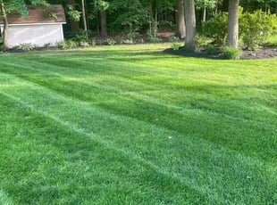 Charlotte H.'s lawn care service result