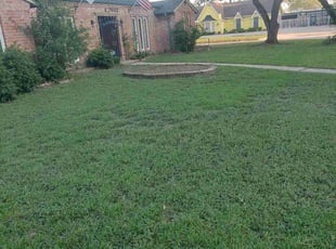 Salvador O.'s residential landscaping service result