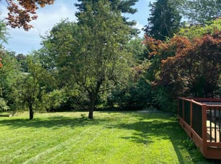 Peggy R.'s grass maintenance service result