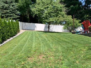 Charles F.'s lawn service service result
