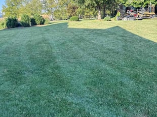 Michael R.'s lawn service service result